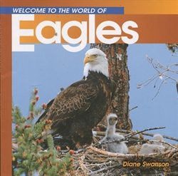 Welcome to the World of Eagles