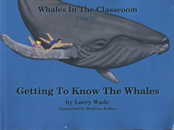 Getting to Know the Whales