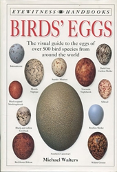 Birds' Eggs