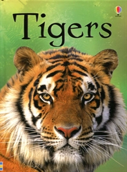 Tigers