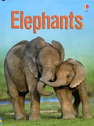 Elephants