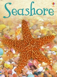 Seashore