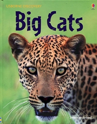 Usborne Discovery: Big Cats