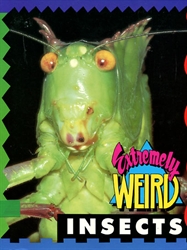 Extremely Weird Insects