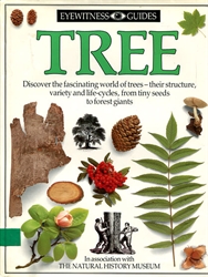 DK Eyewitness: Tree