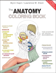 Anatomy Coloring Book (old)