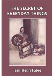 Secret of Everyday Things