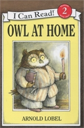 Owl At Home