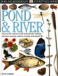Eyewitness: Pond & River