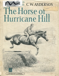 Horse of Hurricane Hill