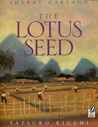 Lotus Seed