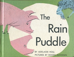 Rain Puddle