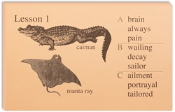 Phonetic Zoo Spelling - Lesson Cards