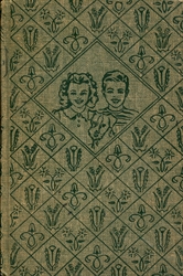 Bobbsey Twins #21 (tweed)