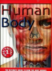 Human Body