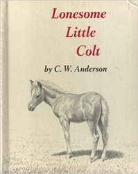 Lonesome Little Colt