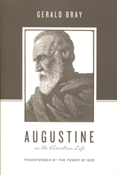 Augustine on the Christian Life