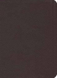 NKJV Reformation Study Bible - Burgundy Leather
