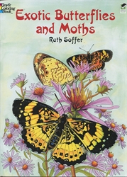 Exotic Butterflies and Moths - Coloring Book