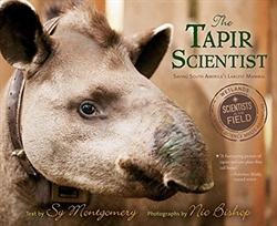 Tapir Scientist