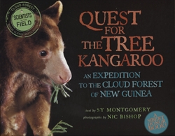 Quest for the Tree Kangaroo