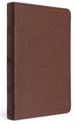 ESV Large Print Value Thinline Bible