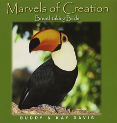 Marvels of Creation: Breathtaking Birds