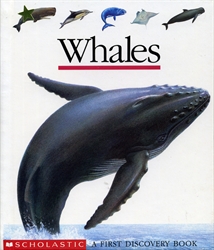 Whales