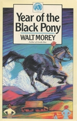 Year of the Black Pony