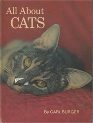 All About Cats