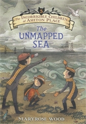 Unmapped Sea