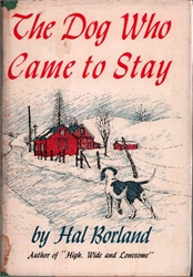 Dog Who Came to Stay