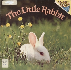 Little Rabbit