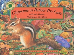 Chipmunk at Hollow Tree Lane