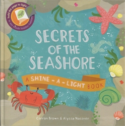 Shine-A-Light: Secrets of the Seashore