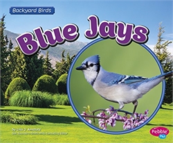 Blue Jays