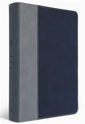 ESV Student Study Bible (Trutone, Navy/Slate, Timeless Design)