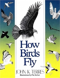 How Birds Fly
