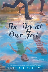 Sky at Our Feet
