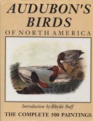 Audubon's Birds of North America