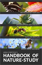 Comstock’s Handbook of Nature Study – Insects