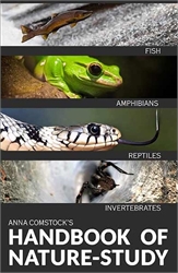 Comstock’s Handbook of Nature Study – Fish, Reptiles, Amphibians, Invertebrates