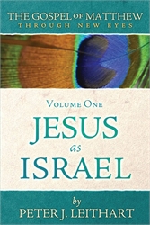 Jesus as Israel Volume 1