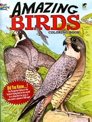 Amazing Birds - Coloring Book