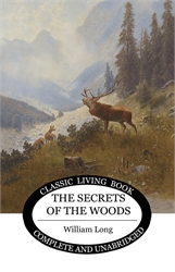 Secrets of the Woods