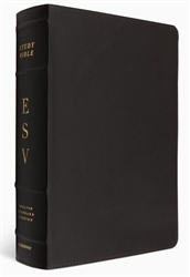 ESV Study Bible (Buffalo Leather)