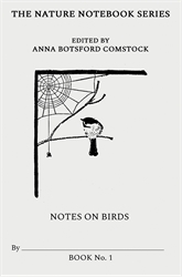 Notes on Birds 1