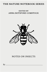 Notes on Insects