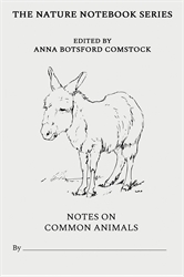 Notes on Common Animals