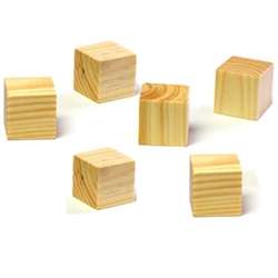 RightStart 1" Wooden Cubes
